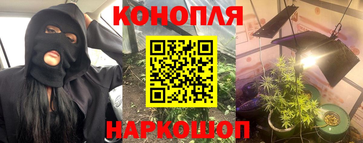 Канабис ГИДРОПОН Салават
